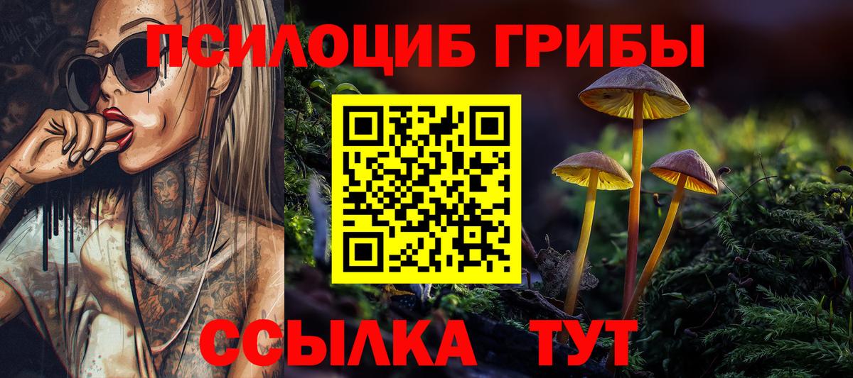 Галлюциногенные грибы MAGIC MUSHROOMS  Вход с VPN  что такое наркотик  Костомукша 