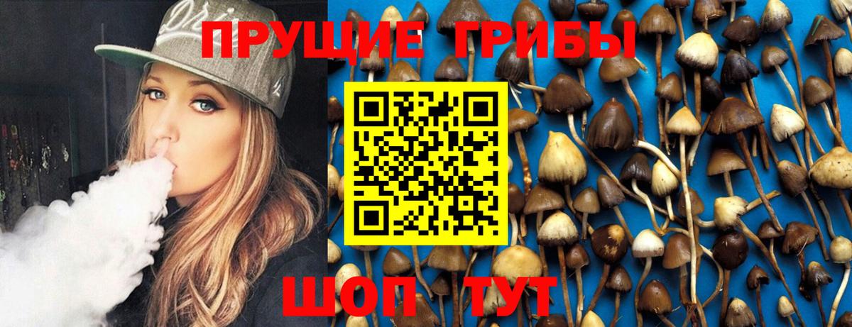ЭКСТАЗИ Костомукша